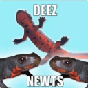 avatar ꨄ•базилиск•ꨄ