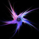 reveirio