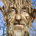 avatar Дерево