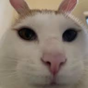 avatar helpmewithmyname