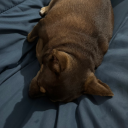 avatar helpmewithmyname