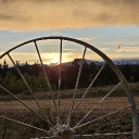 avatar emuBUD 🇺🇸