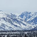 avatar emuBUD 🇺🇸