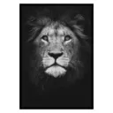 lioncg