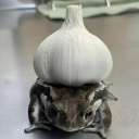 avatar goopey(da menace)…ᘛ⁐̤ᕐᐷ