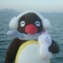 avatar pingu