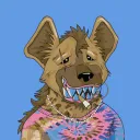 kookyhyena6125