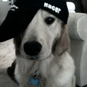 avatar drakes left toe labubu