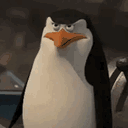 zicary