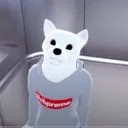 aidenthefurry3745