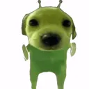 rimba342 avatar