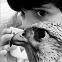 avatar farouk. 🇪🇬