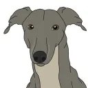 thegreyhound2127 avatar