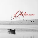 platinumcm