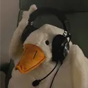 duckiefd