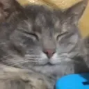 smurk_smurk