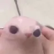 realcahaner