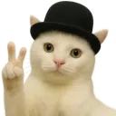 thangmc2374