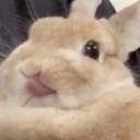 avatar ℂ𝕒𝕚𝕥𝕝𝕚𝕟 ♡