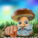 sernig6666