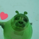 avatar Fr3dPl4ysP0ker