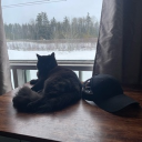 avatar Fr3dPl4ysP0ker