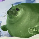 avatar Fr3dPl4ysP0ker