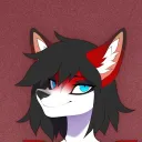 natalie_the_jackal