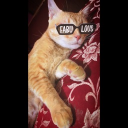 avatar Abdul Ahad ✘