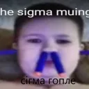 g0mple