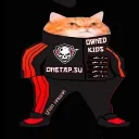 Аватар shaudzwer