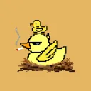 ducktor.rubber