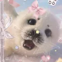 _st4rzzmeow
