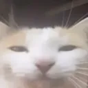 mathiaseq_