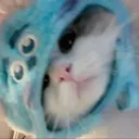 ssnowyblue