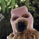 avatar 𝗔𝗶𝗹𝗲𝘆..<3