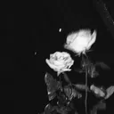 lxstxsoul