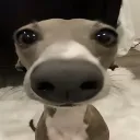 Аватар ignat_sakalov