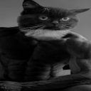 avatar Chaosnie55