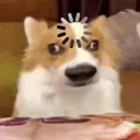 paperpluck