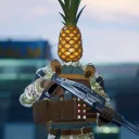 preposterous_pineapple_person avatar