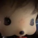 ffhbunnie