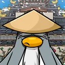 sensei067938