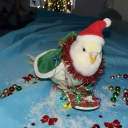 avatar 𝔹𝕚𝕣𝕕𝕚𝕖