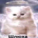 Аватар quit.new