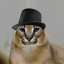 avatar Floppik?💀💀💀