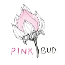 pinkbud.