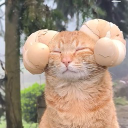 morkiukas