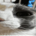 .emptyusername.'s Avatar