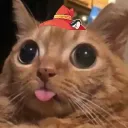 king_champ